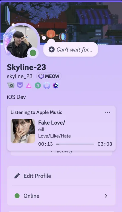 Applepie-RPC macOS 연결 화면